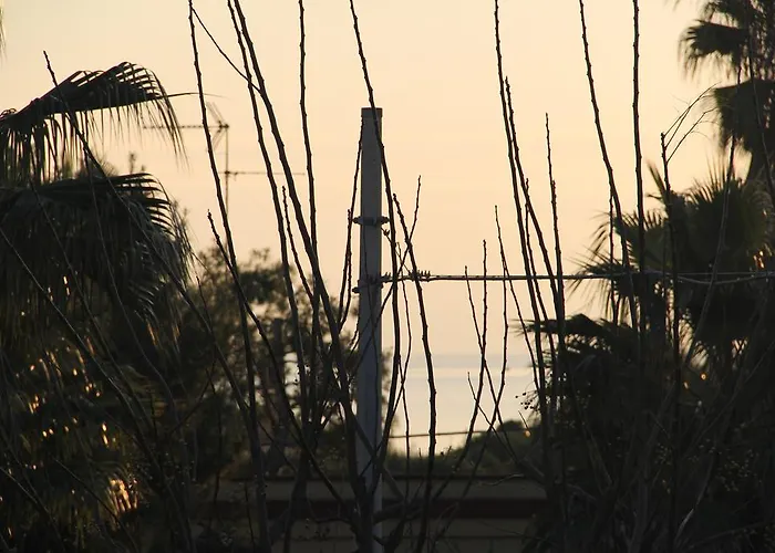 Rosaria فيلة توري لابيلو